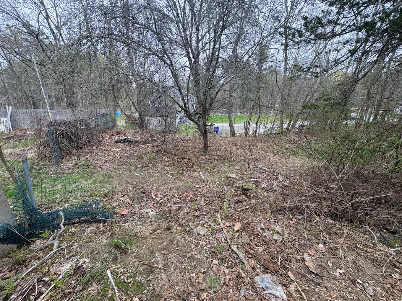 After — Lot after the shed was demolished and cleared